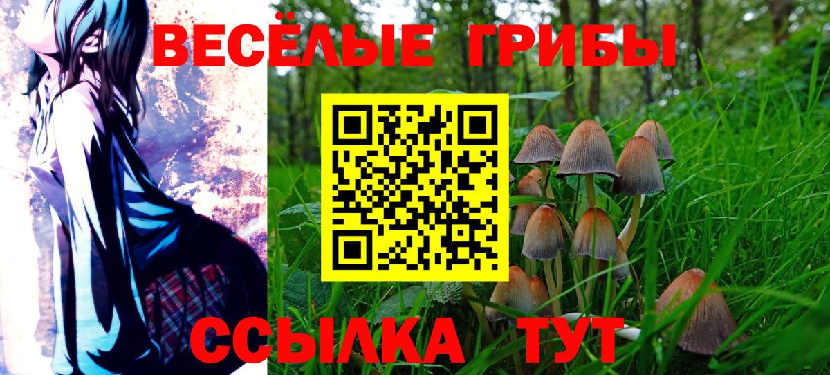 Галлюциногенные грибы GOLDEN TEACHER  Псилоцибиновые грибы Cubensis  Крымск  где купить   Вход с VPN 